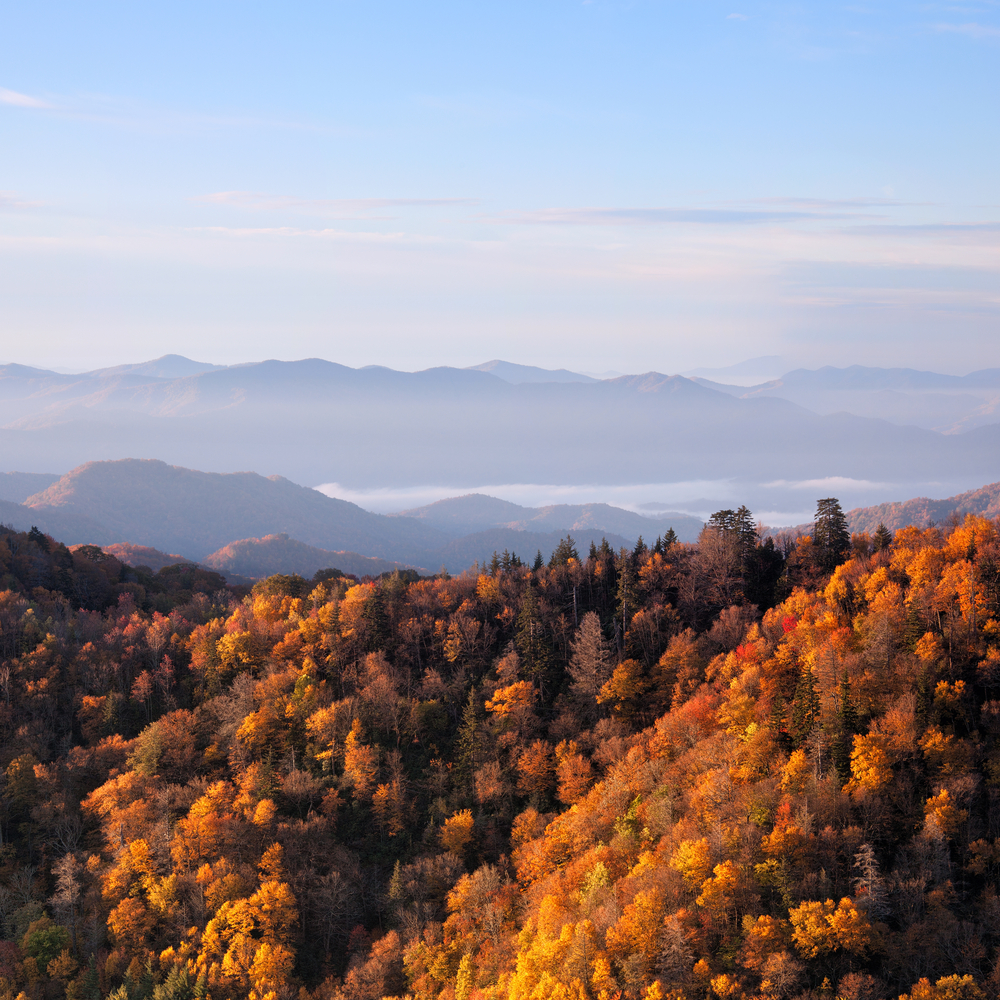 Smoky_Mountains_Autumn_Medium.jpg